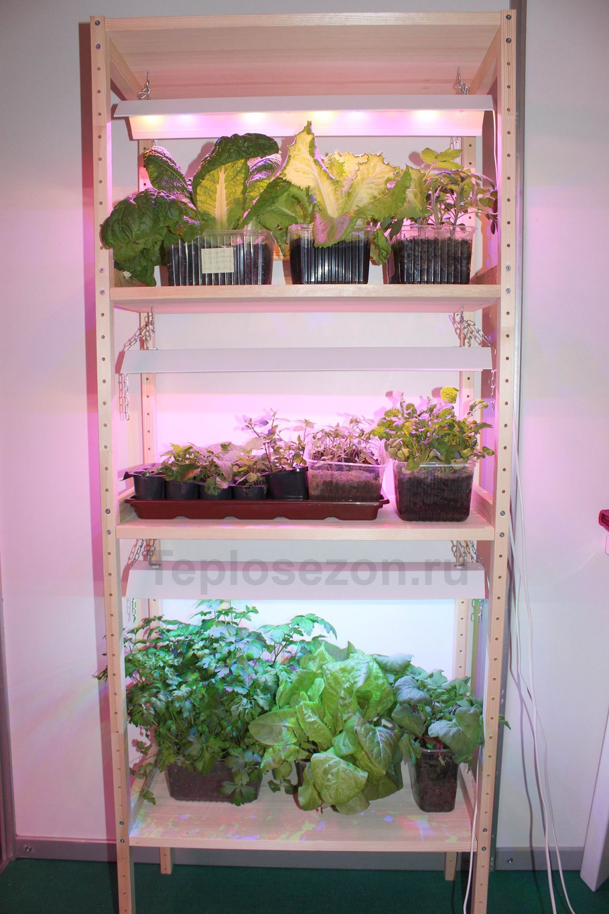 Стеллаж для рассады 620*260*910