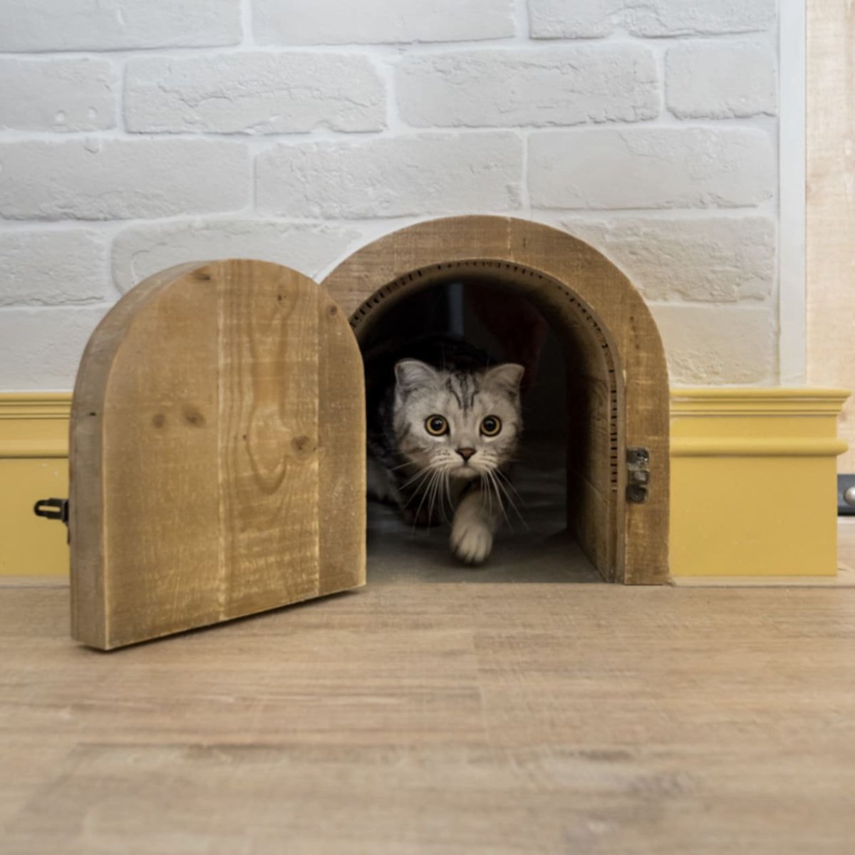 Дверца для кошек