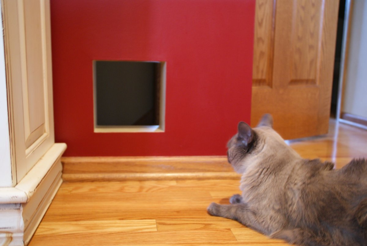 Дверка для кота в стене