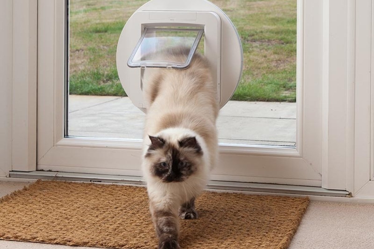 Дверка для кошек в стеклопакете