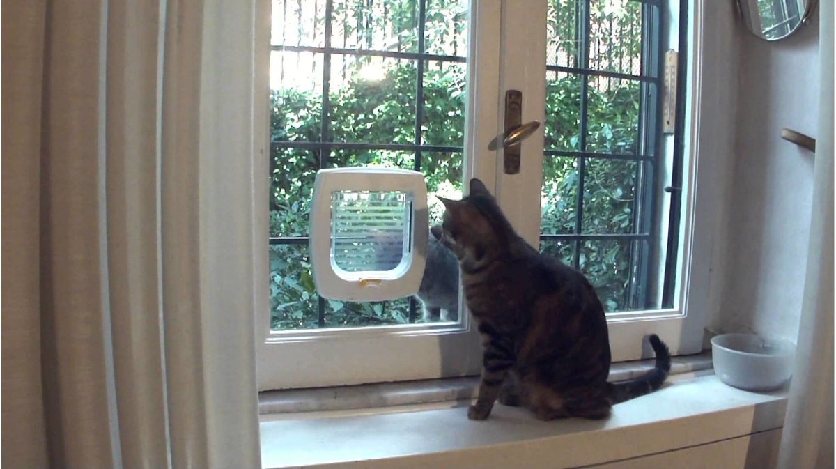 Дверца для кошек в стеклопакет