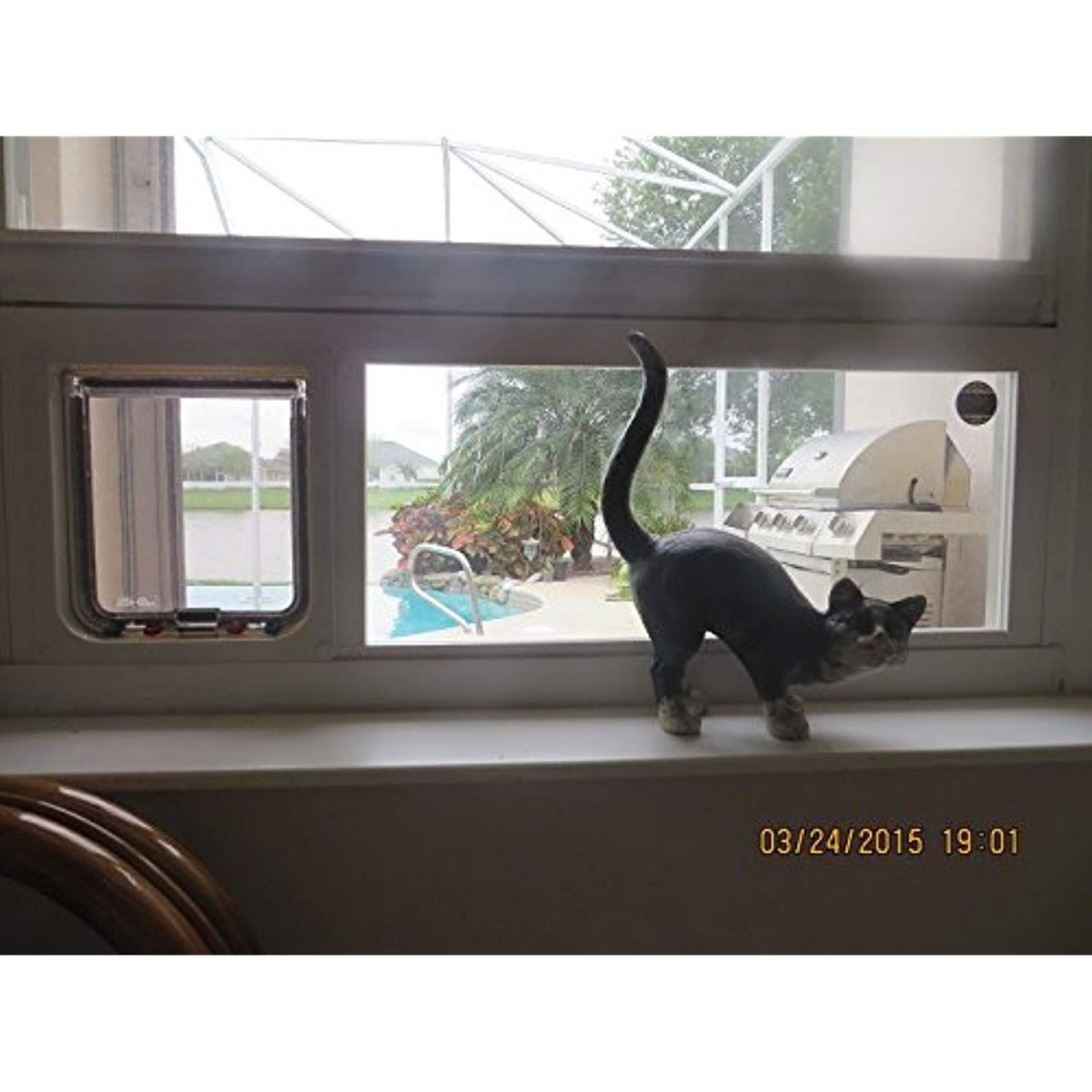 Пластиковое окно с форточкой для кошки