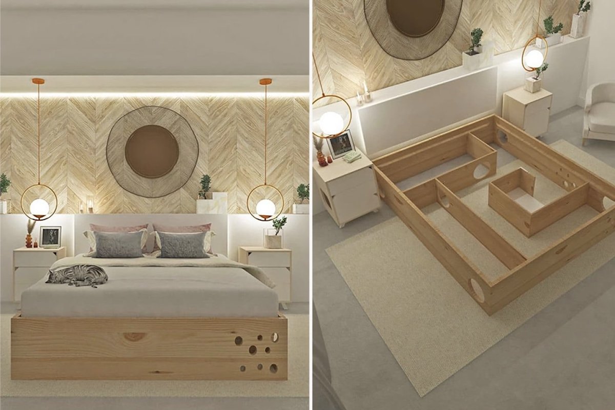 Кошка и человек в кровати