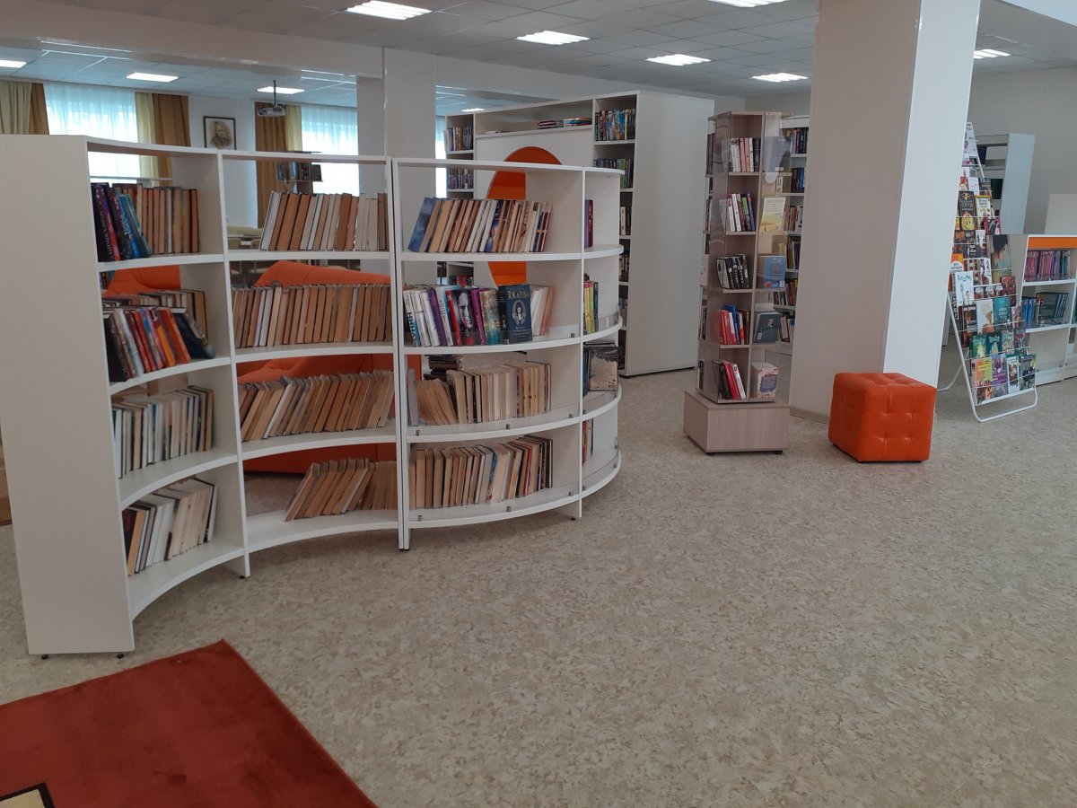 Стеллажи для модельной библиотеки