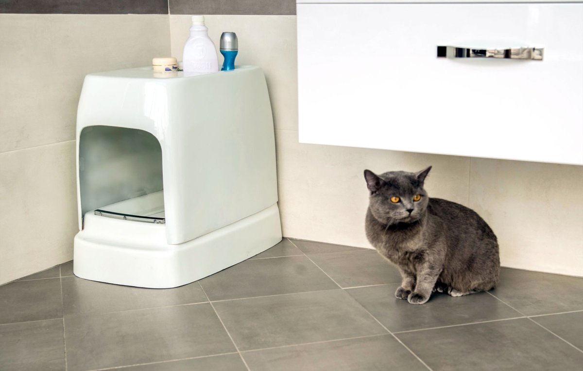 Moderna Cat Concept 4 в 1