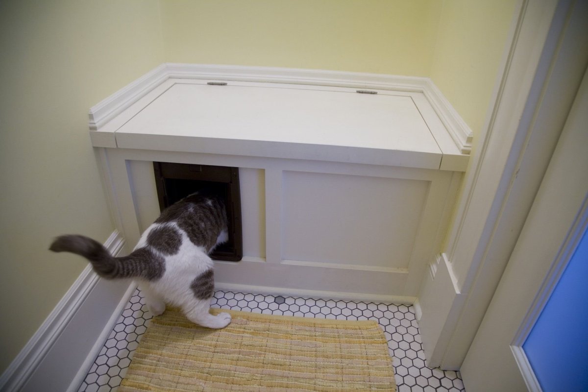 Лоток для кошки в прихожей