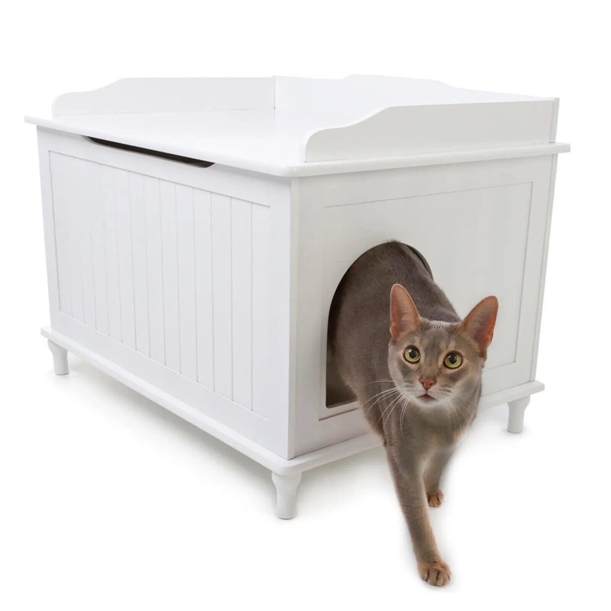 Кошачий туалет в тумбочке