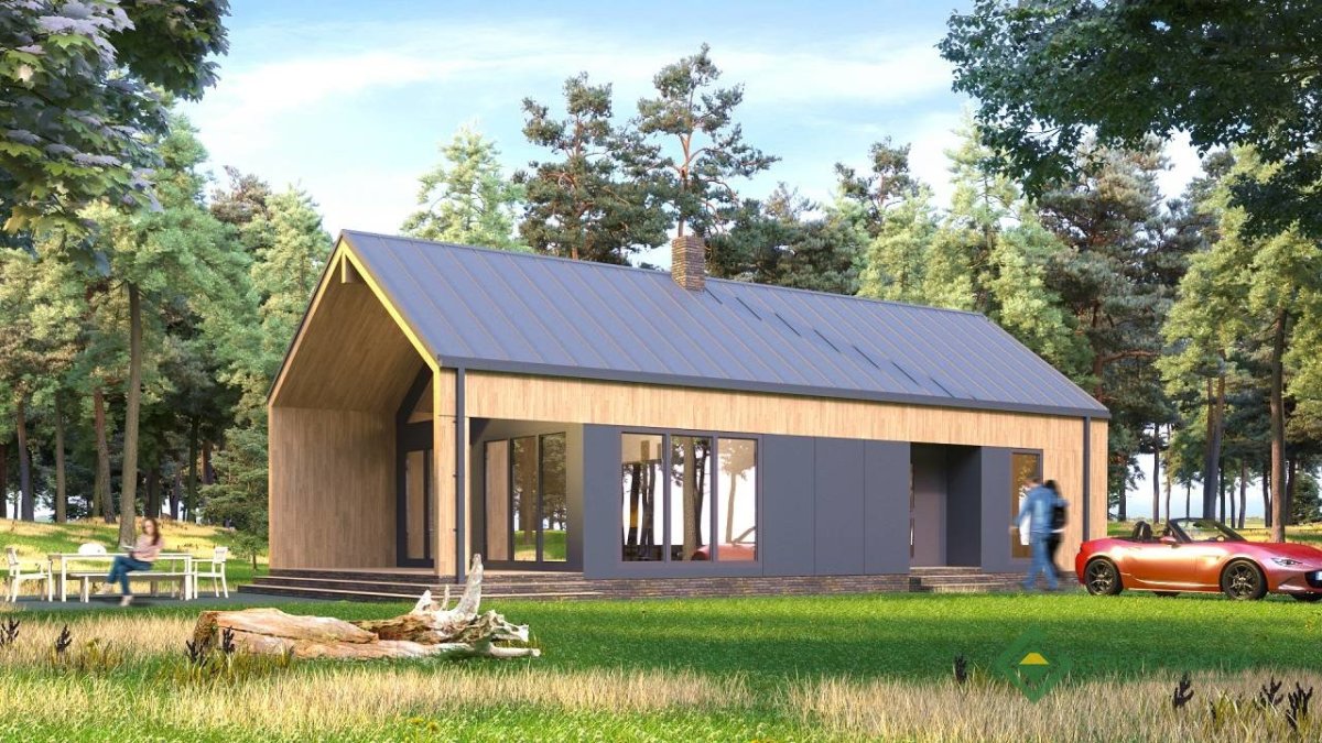 Одноэтажный каркасный барнхаус