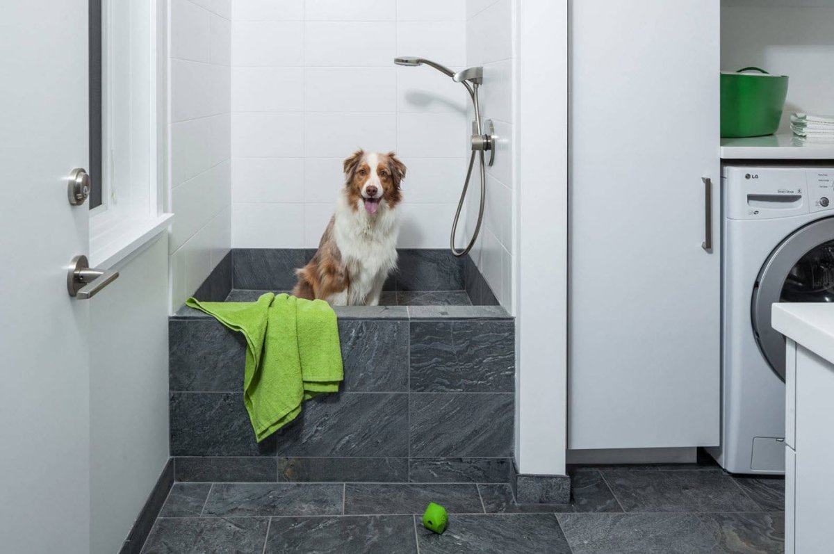 Поддон для мытья собак