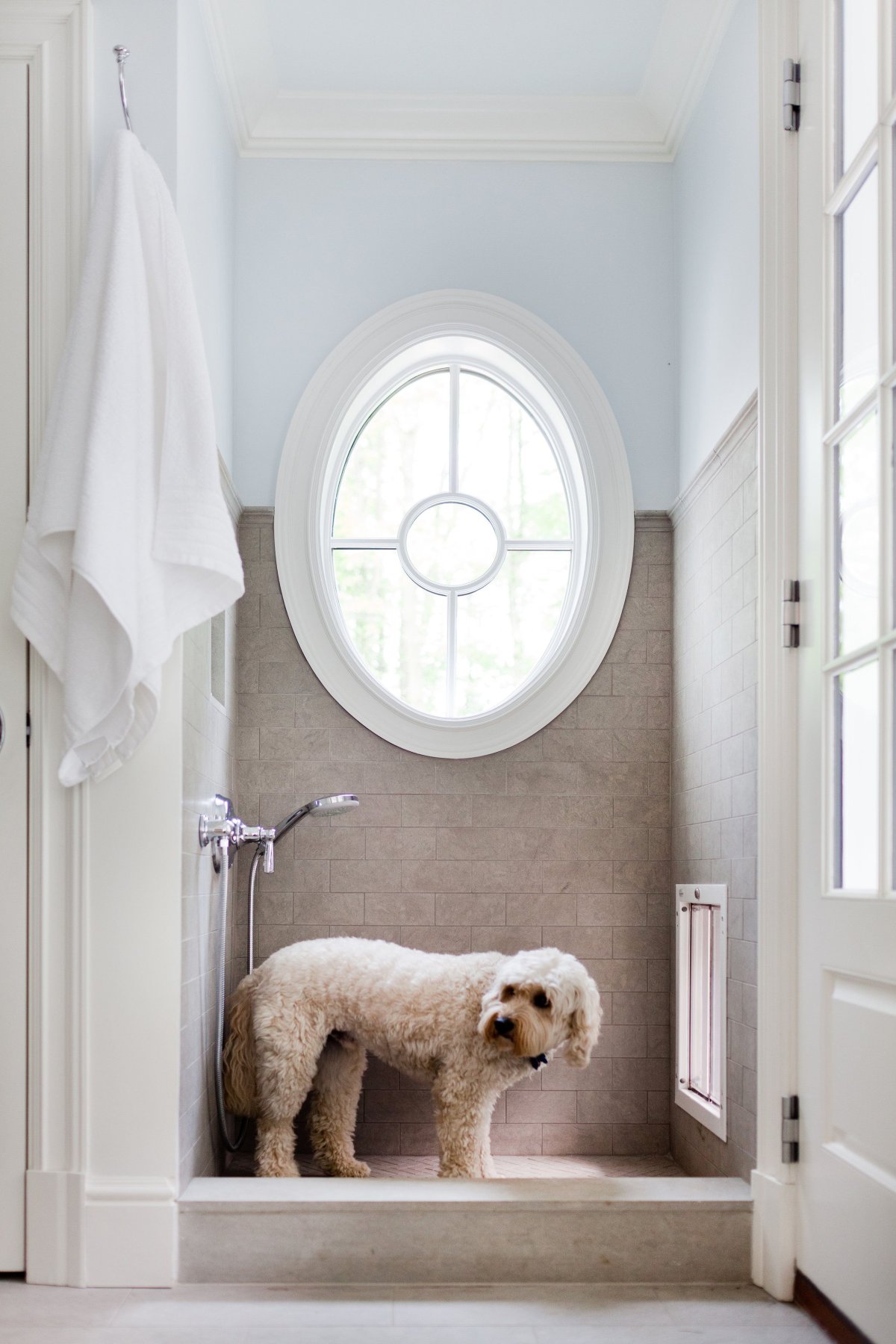 Душевая для собак