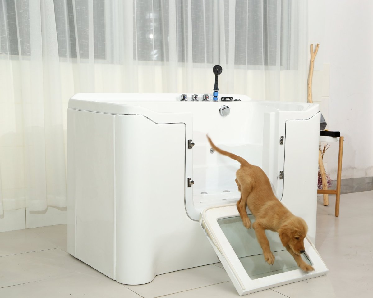 Мойка для собак