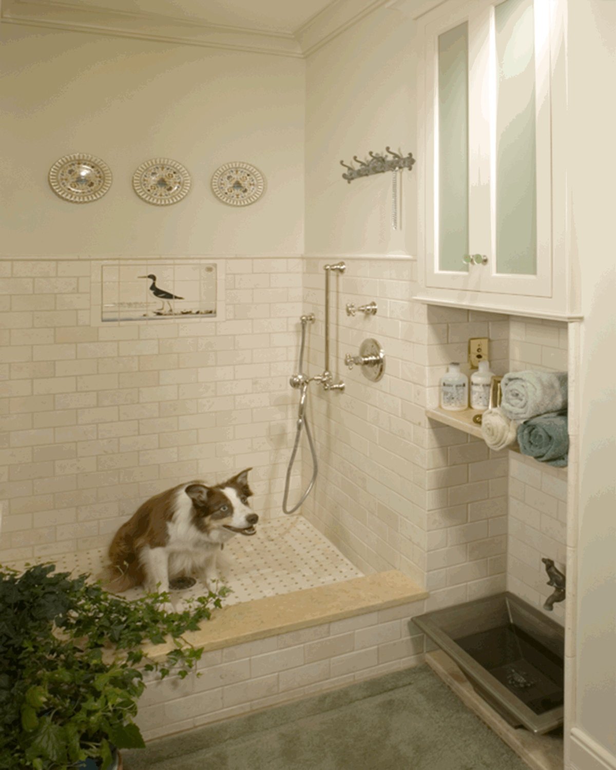 Ванная для собак в доме