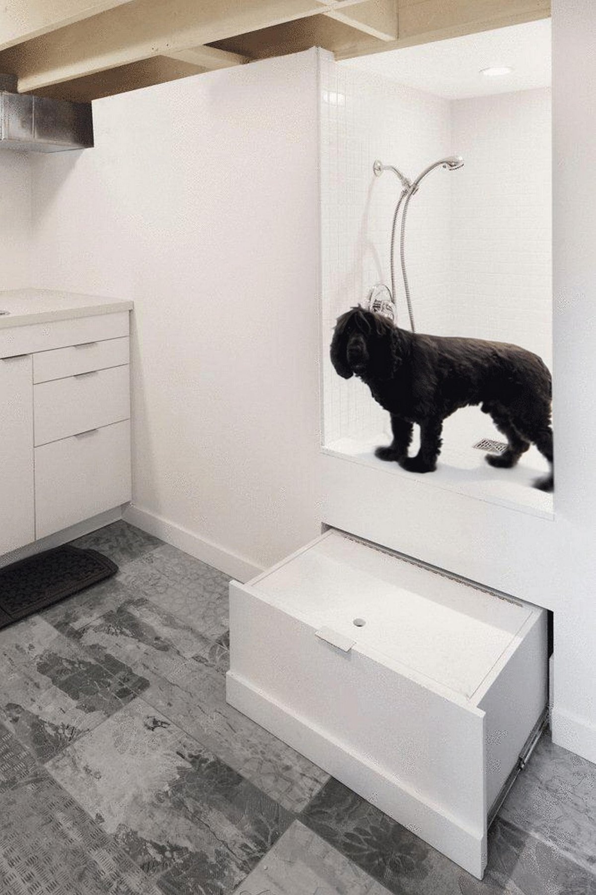 Поддон для мытья собак