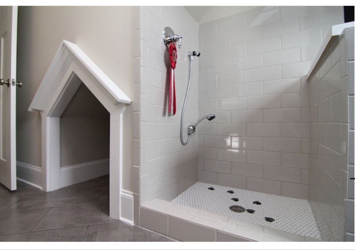 Душевой поддон для собаки