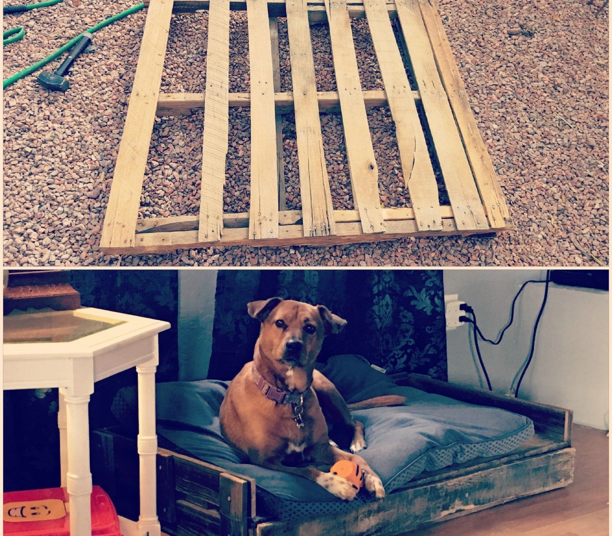 Лежак для собаки из поддонов