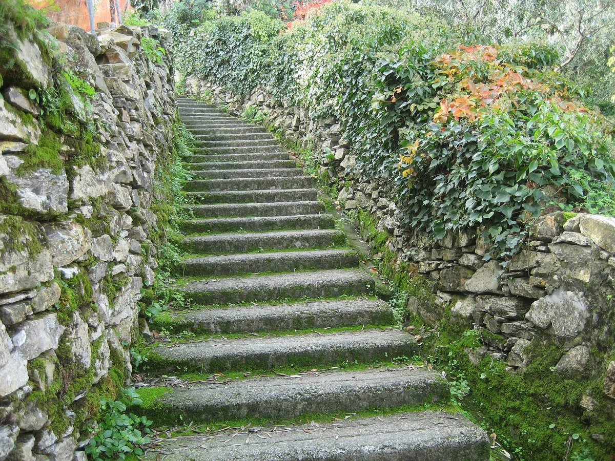 Старая лестница