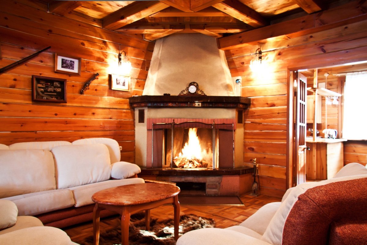 Гостиная в деревянном доме в лесу