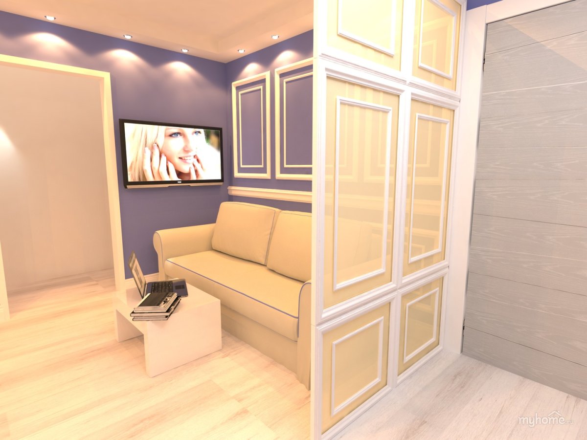 Перегородка между прихожей и гостиной