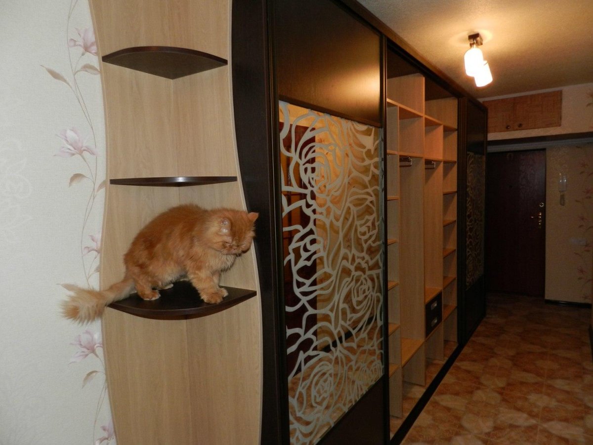 Шкаф купе в длинный узкий коридор