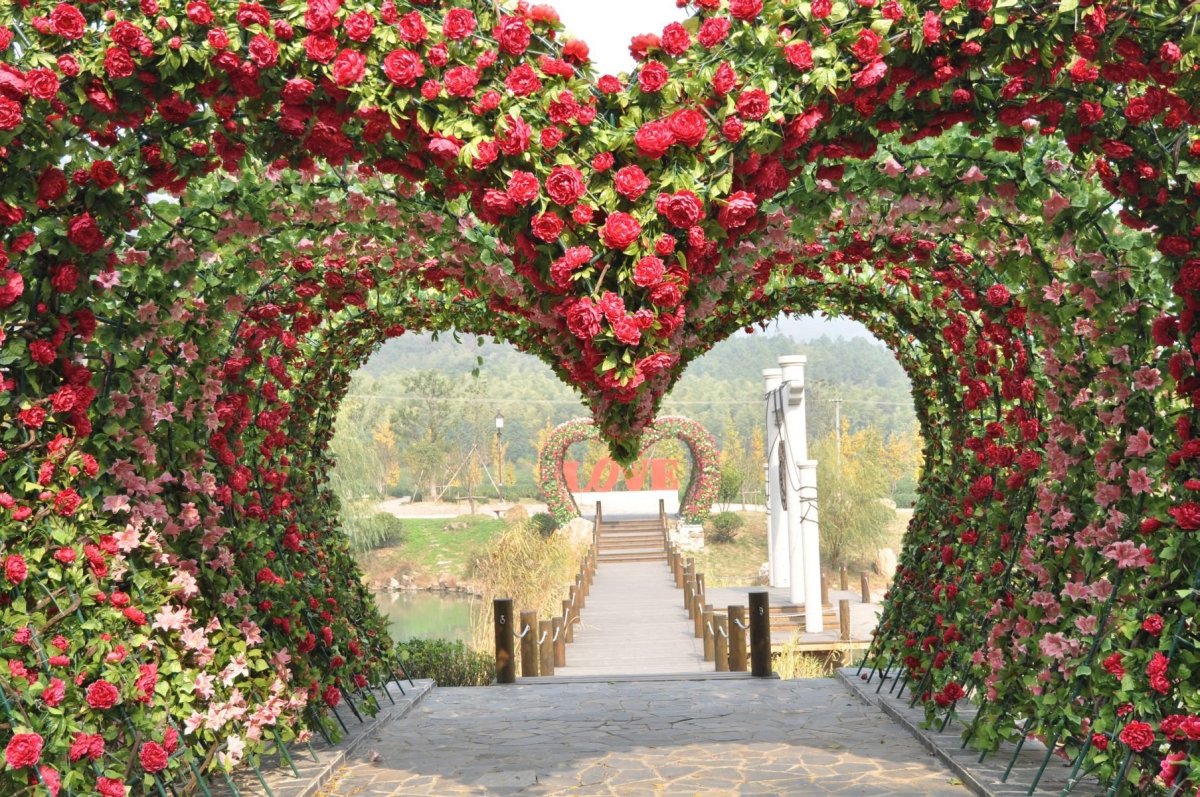 Аллея Гарден Роуз