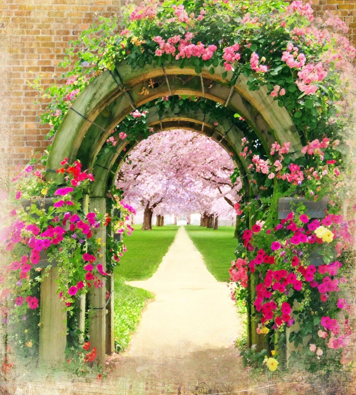 Арка для розы плетистой