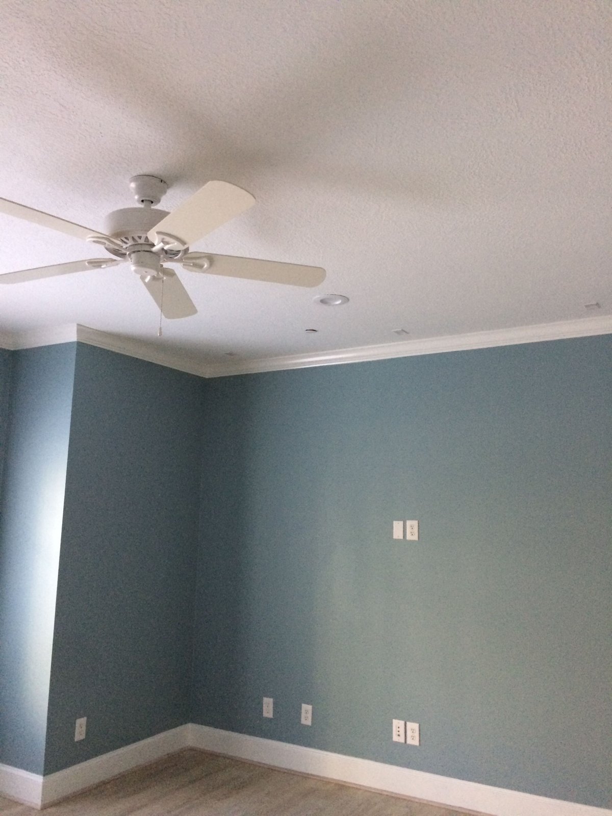 Гипрок крашеный