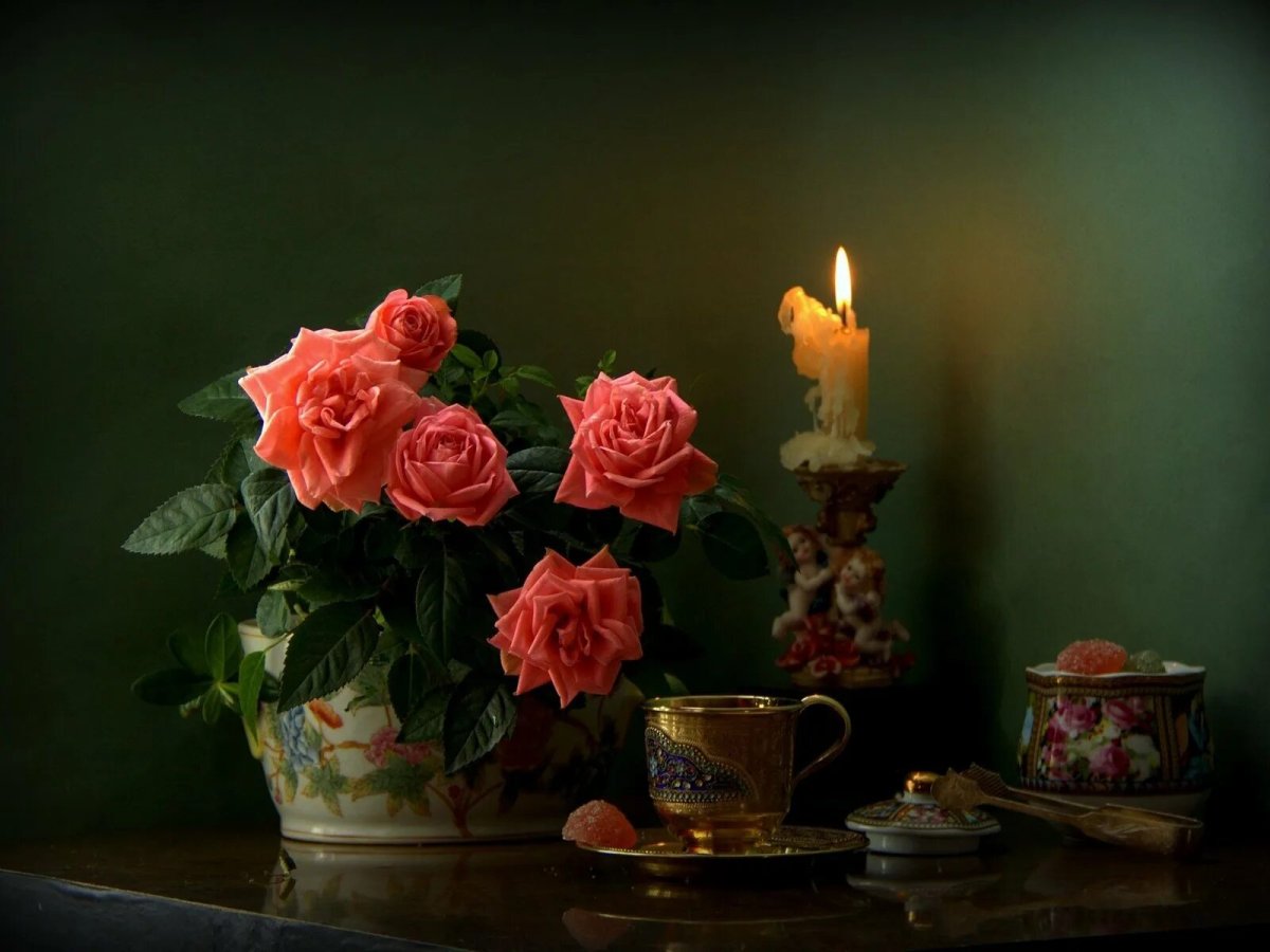 Вечерние пожелания