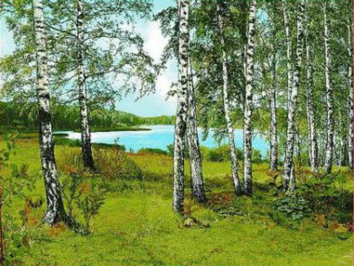 Ковер родные просторы 51062/3