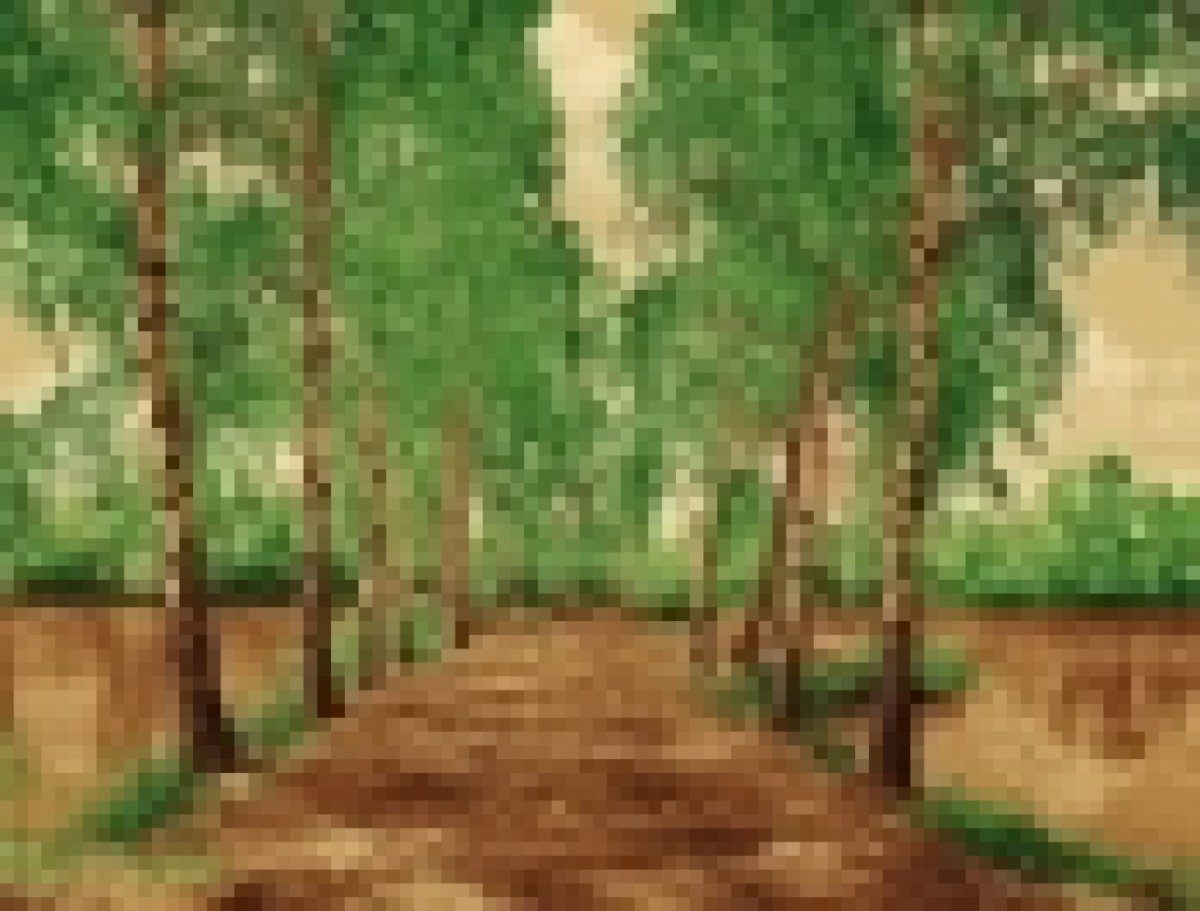 Ковры природа Витебские