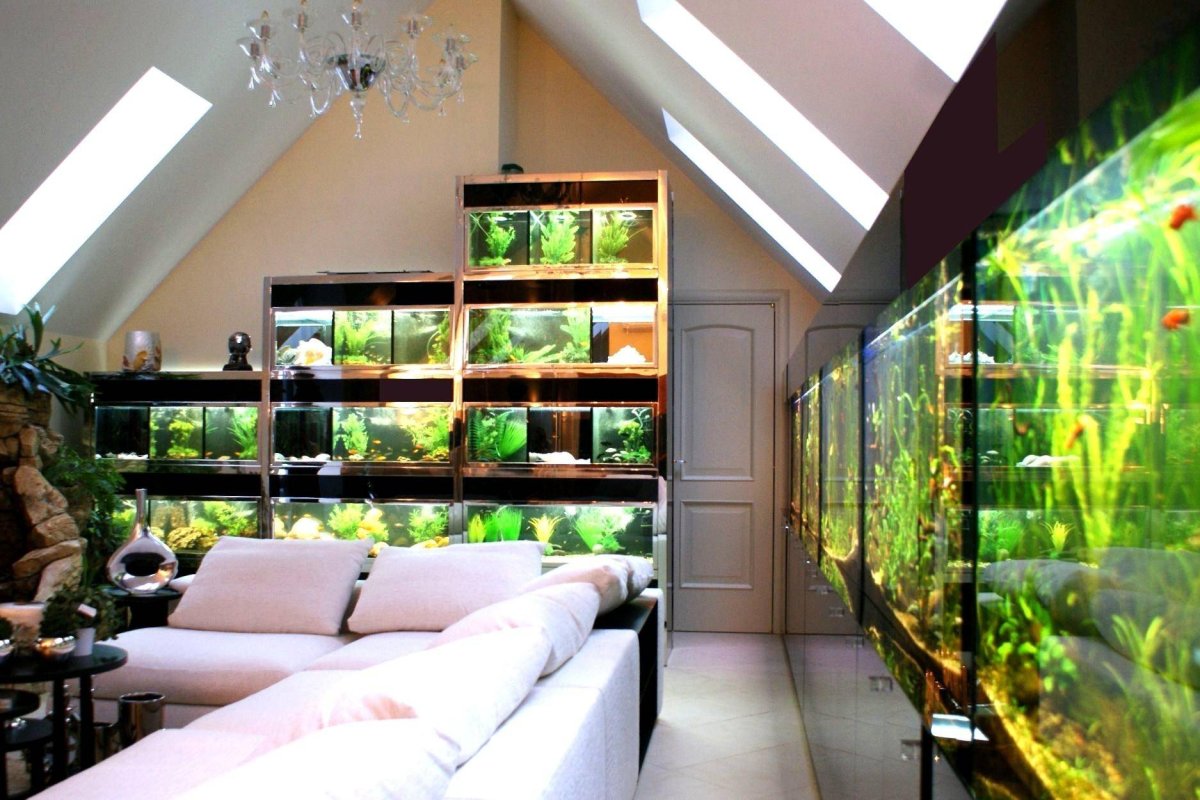 Небольшой аквариум в интерьере