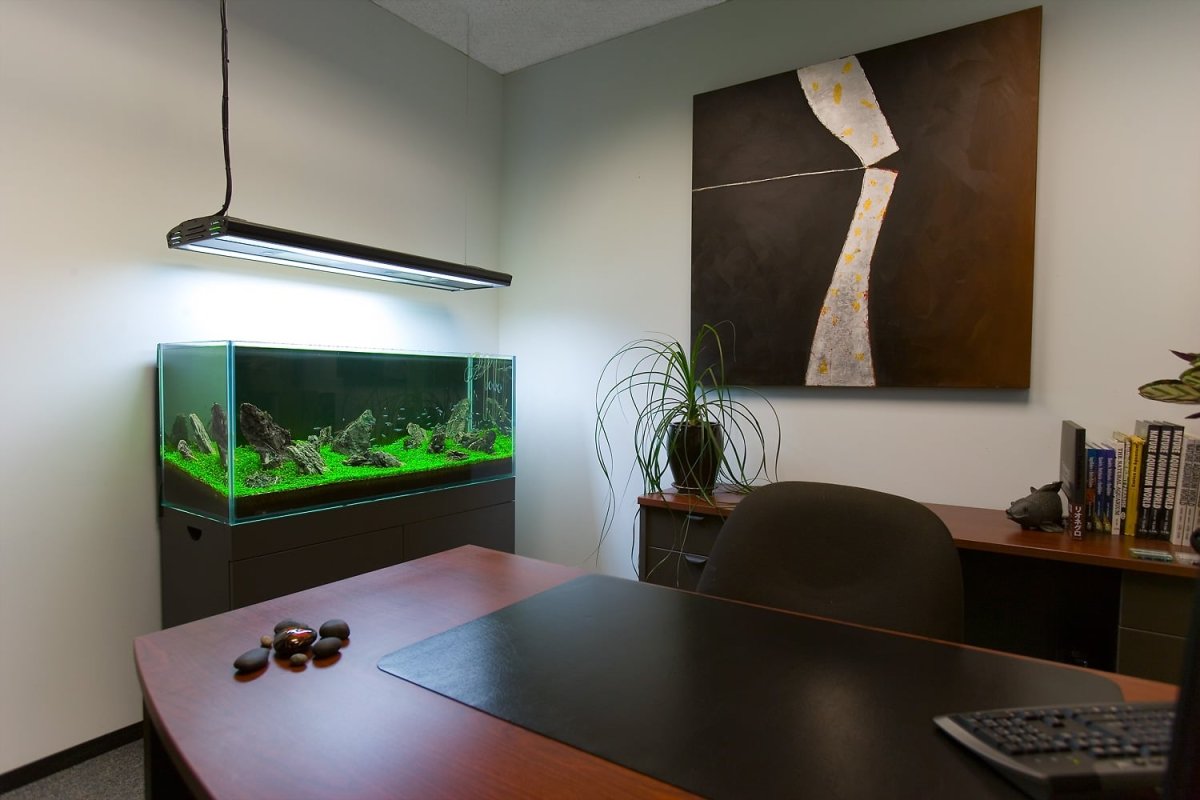 Аквариум в кабинете