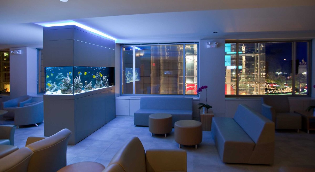 Аквариум в интерьере квартиры