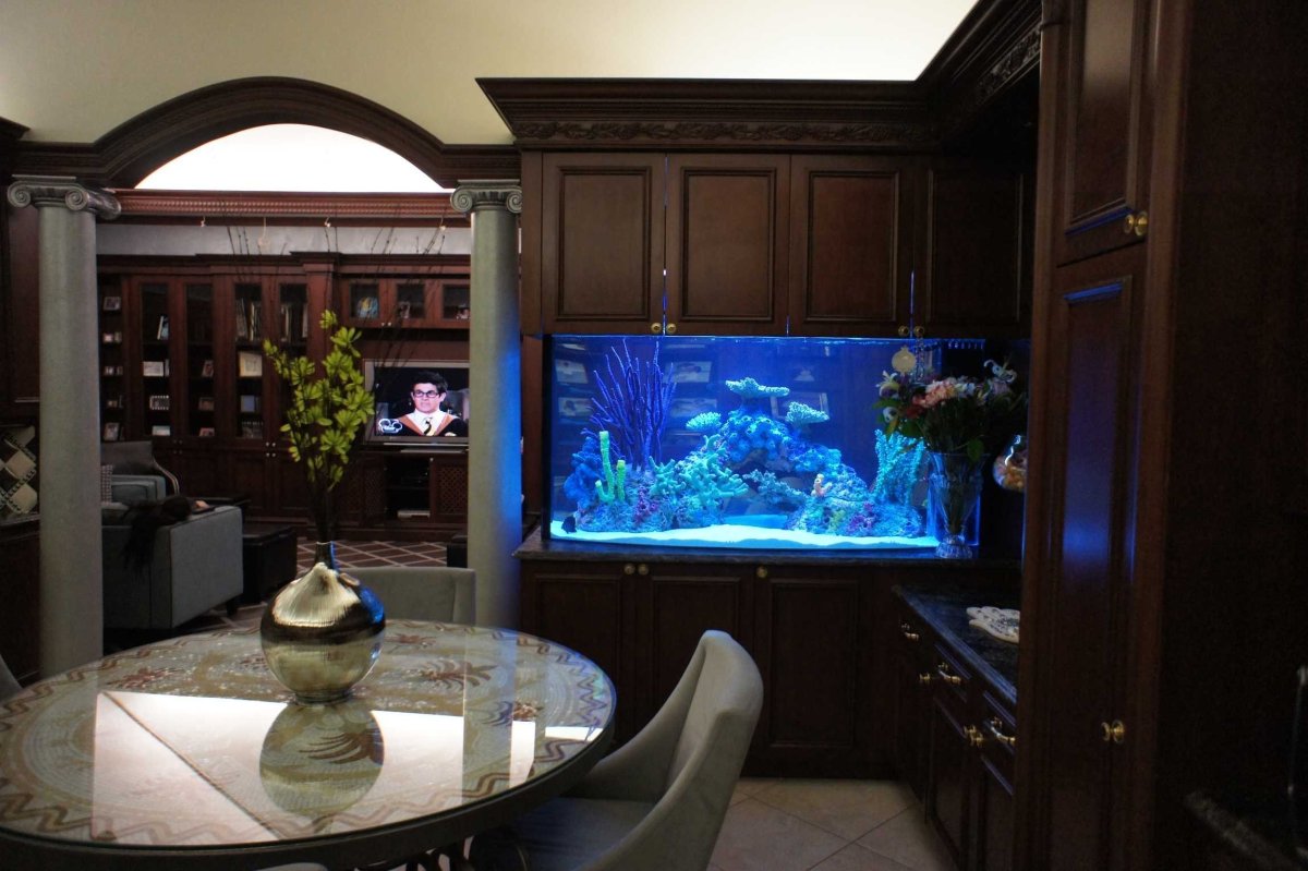 Встроенные аквариумы