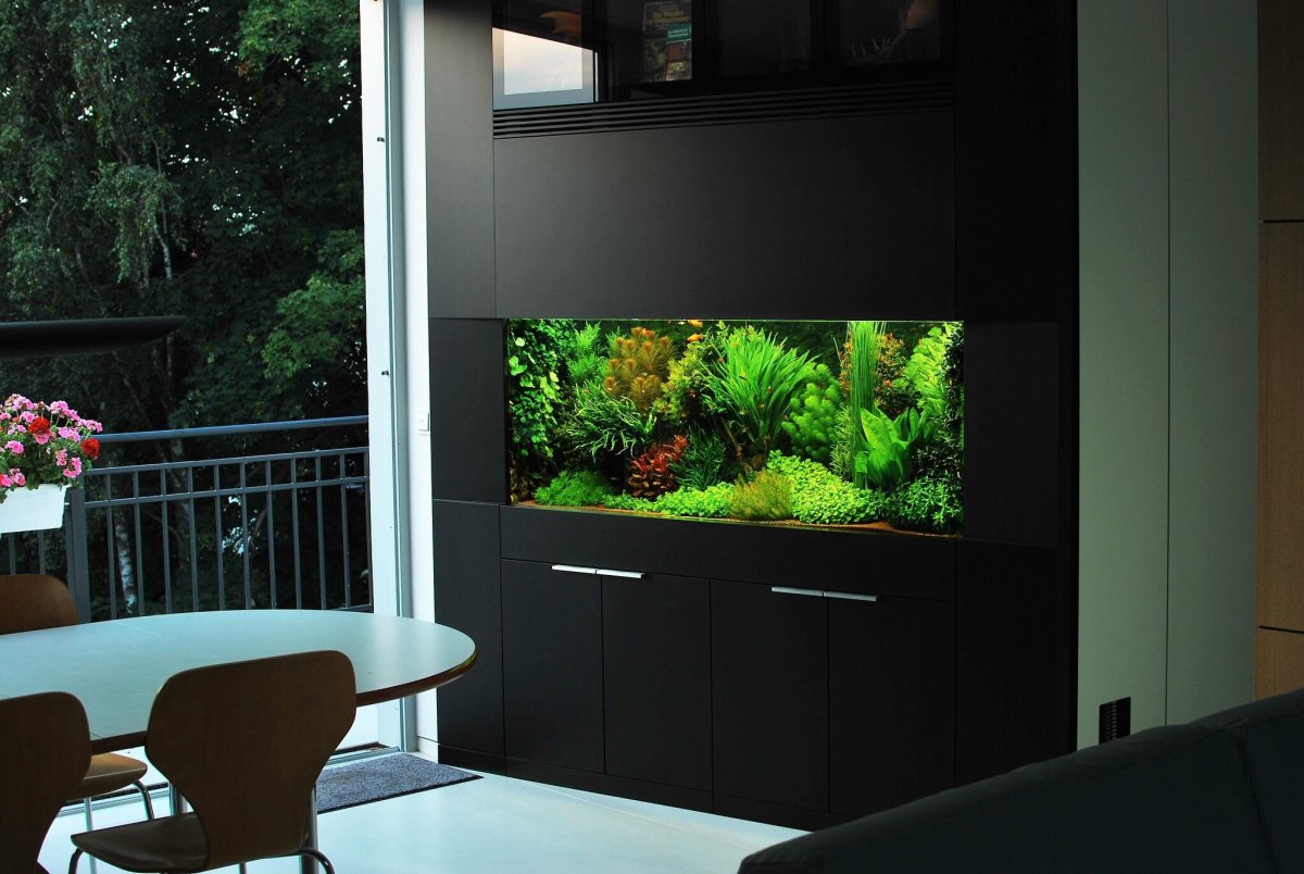 Дизайнерский аквариум