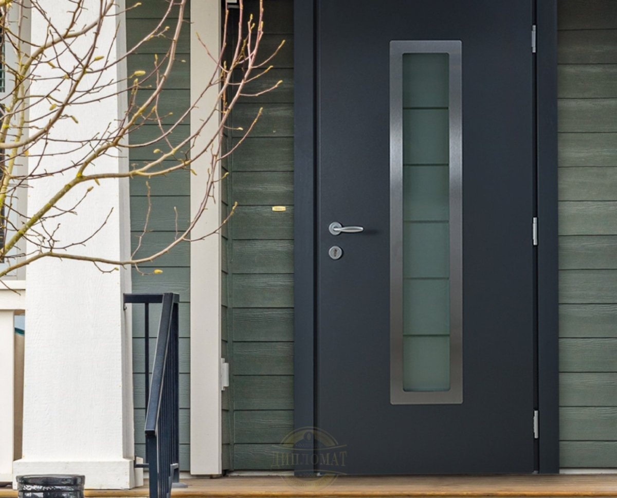 Входные двери в дом стальная линия