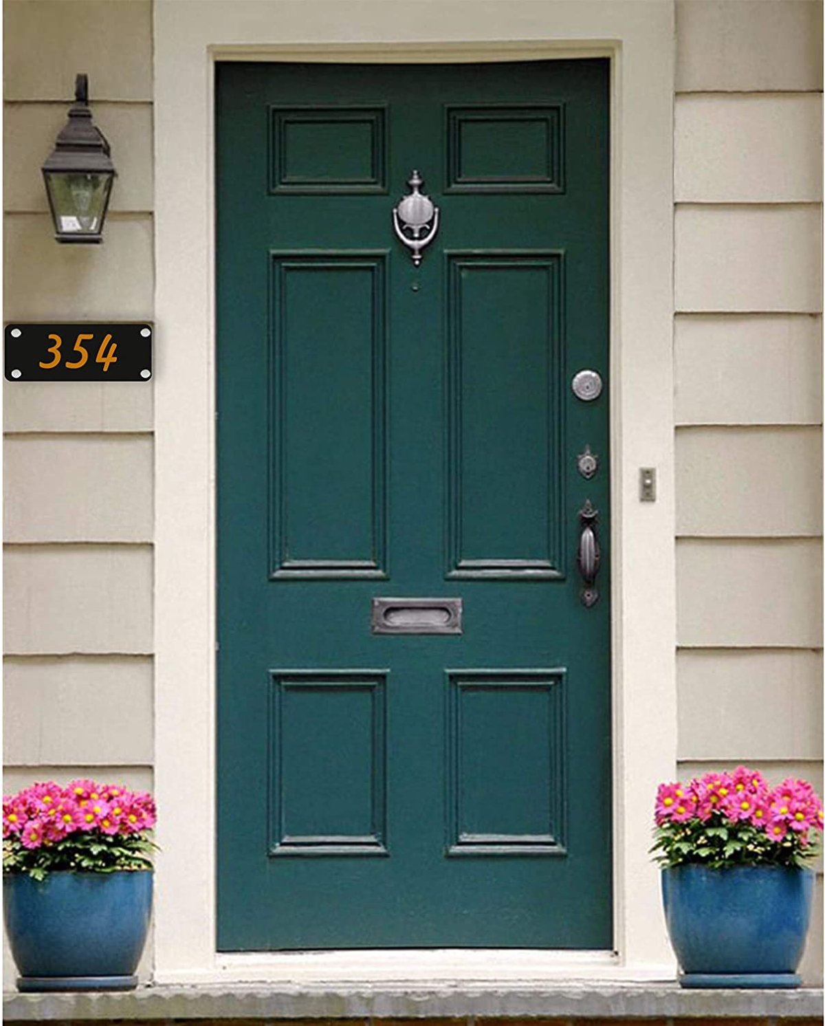 Цветные входные двери