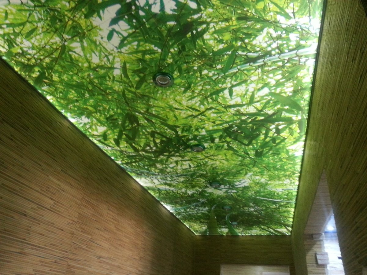 Светопрозрачный натяжной потолок