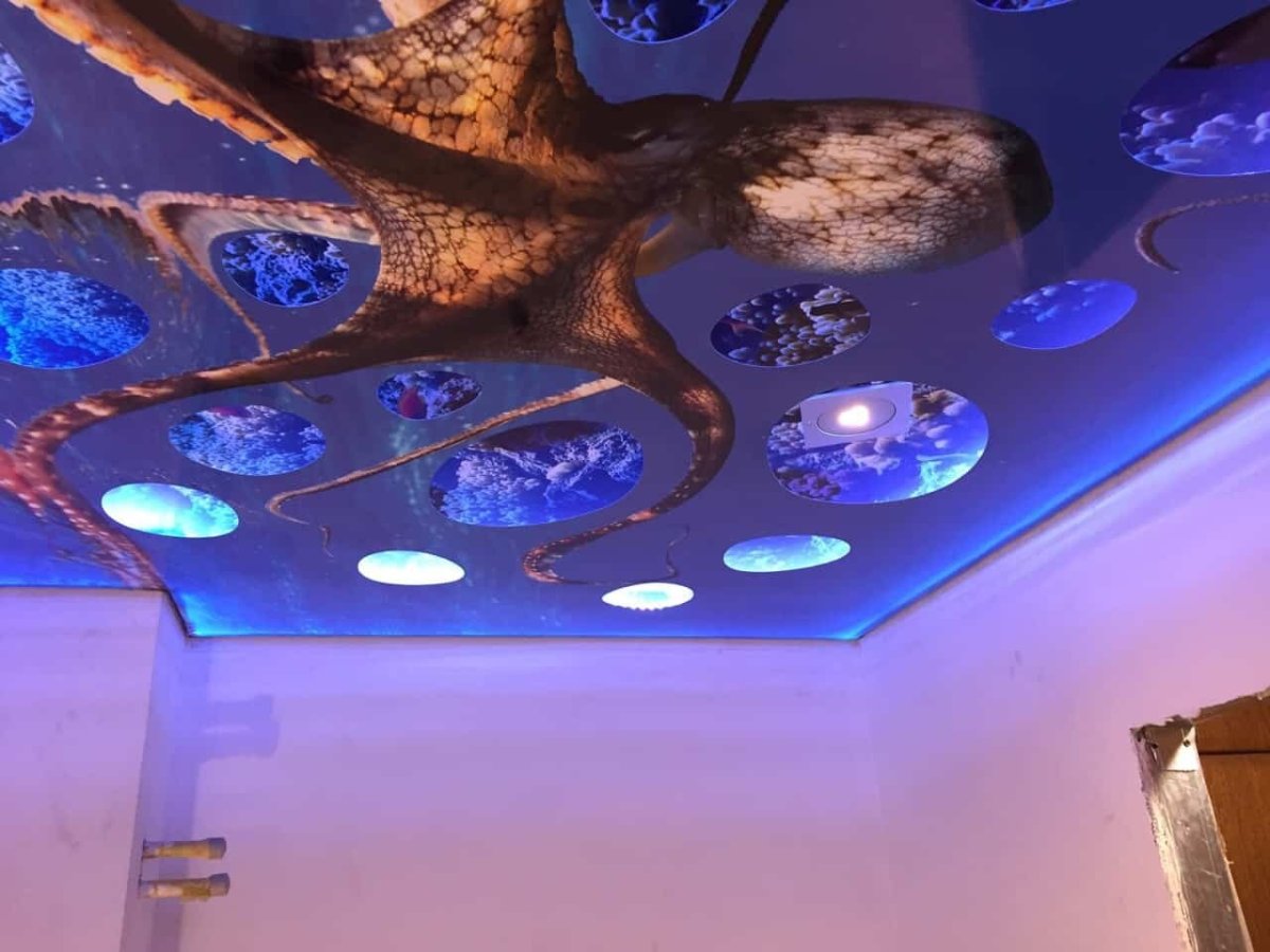 Светящиеся натяжные потолки