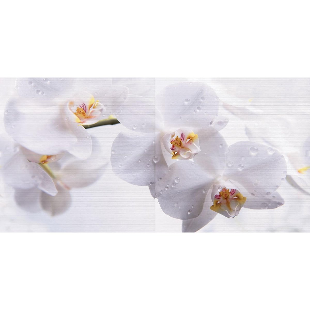 Белые цветы