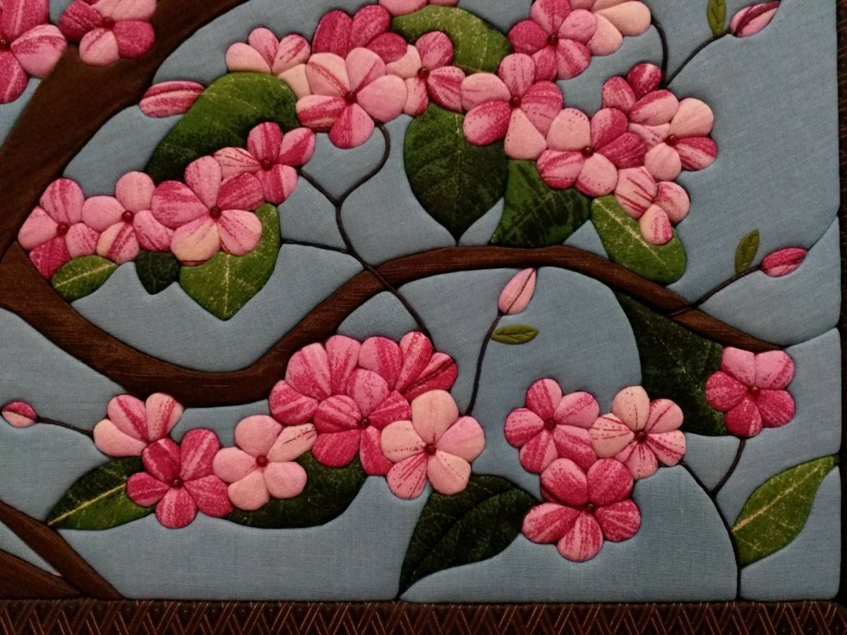 Кинусайга Сакура