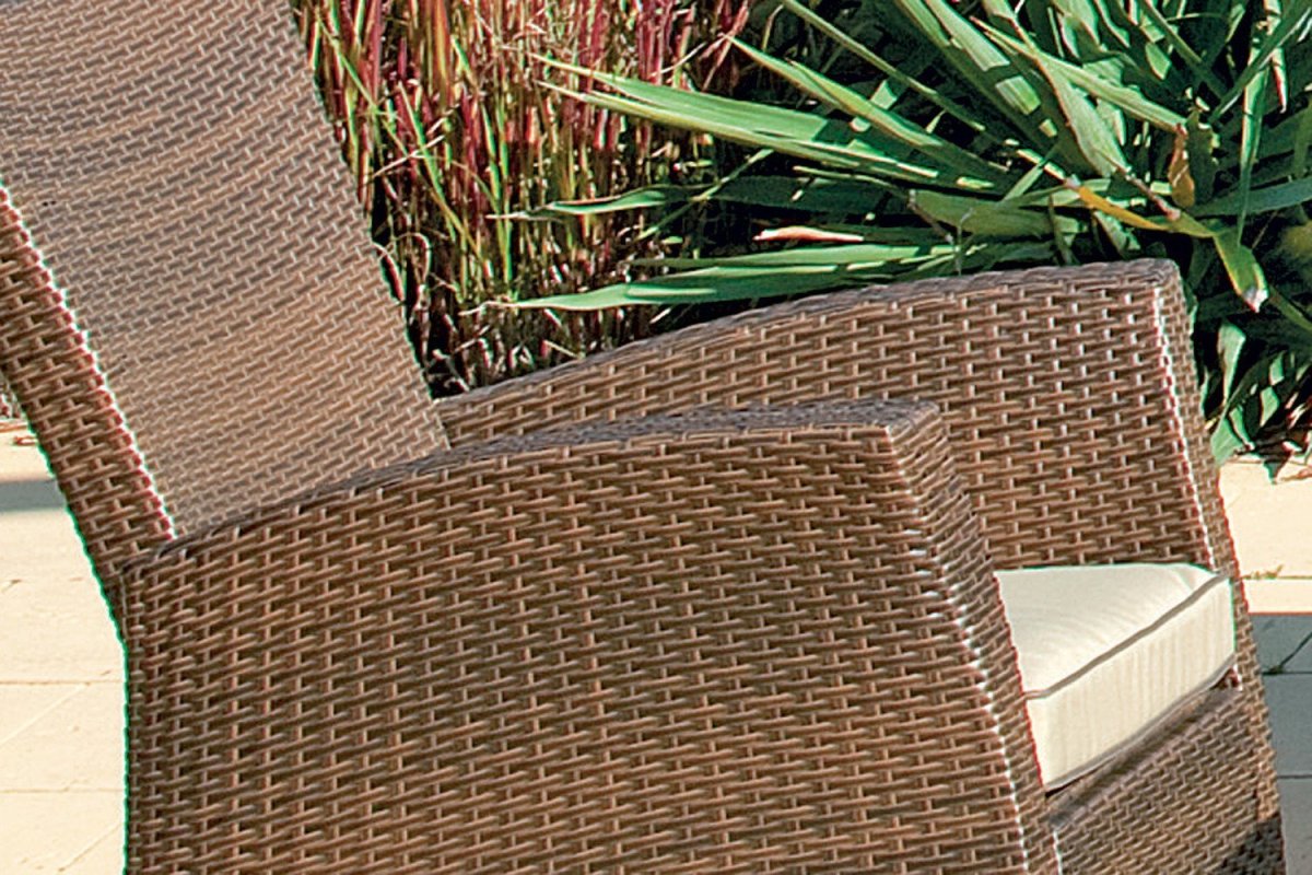 Раттан растение