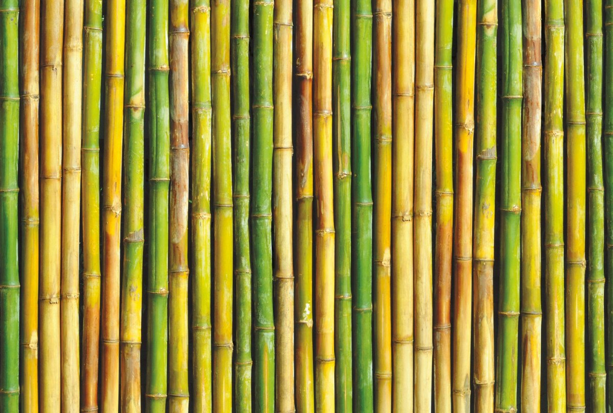 Бамбуковые панели
