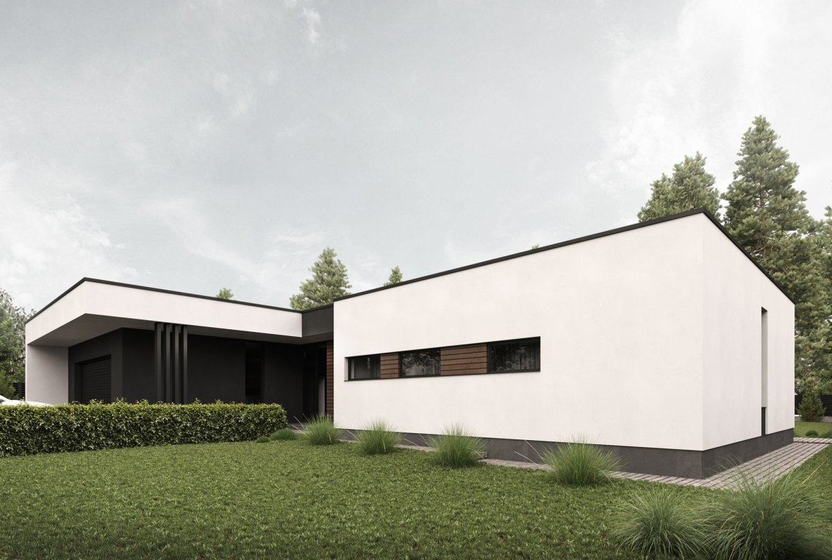 Двухэтажный дом Минимализм Дмитрий Чапания