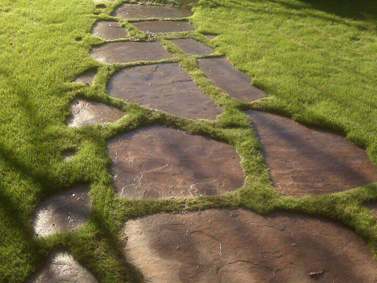 Плитняк для мощения дорожек