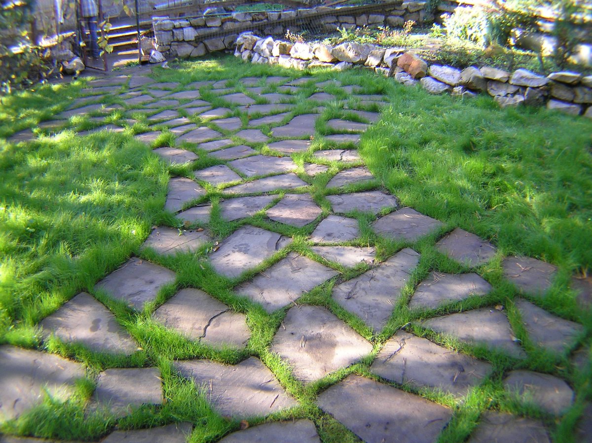 Пластушка в ландшафте