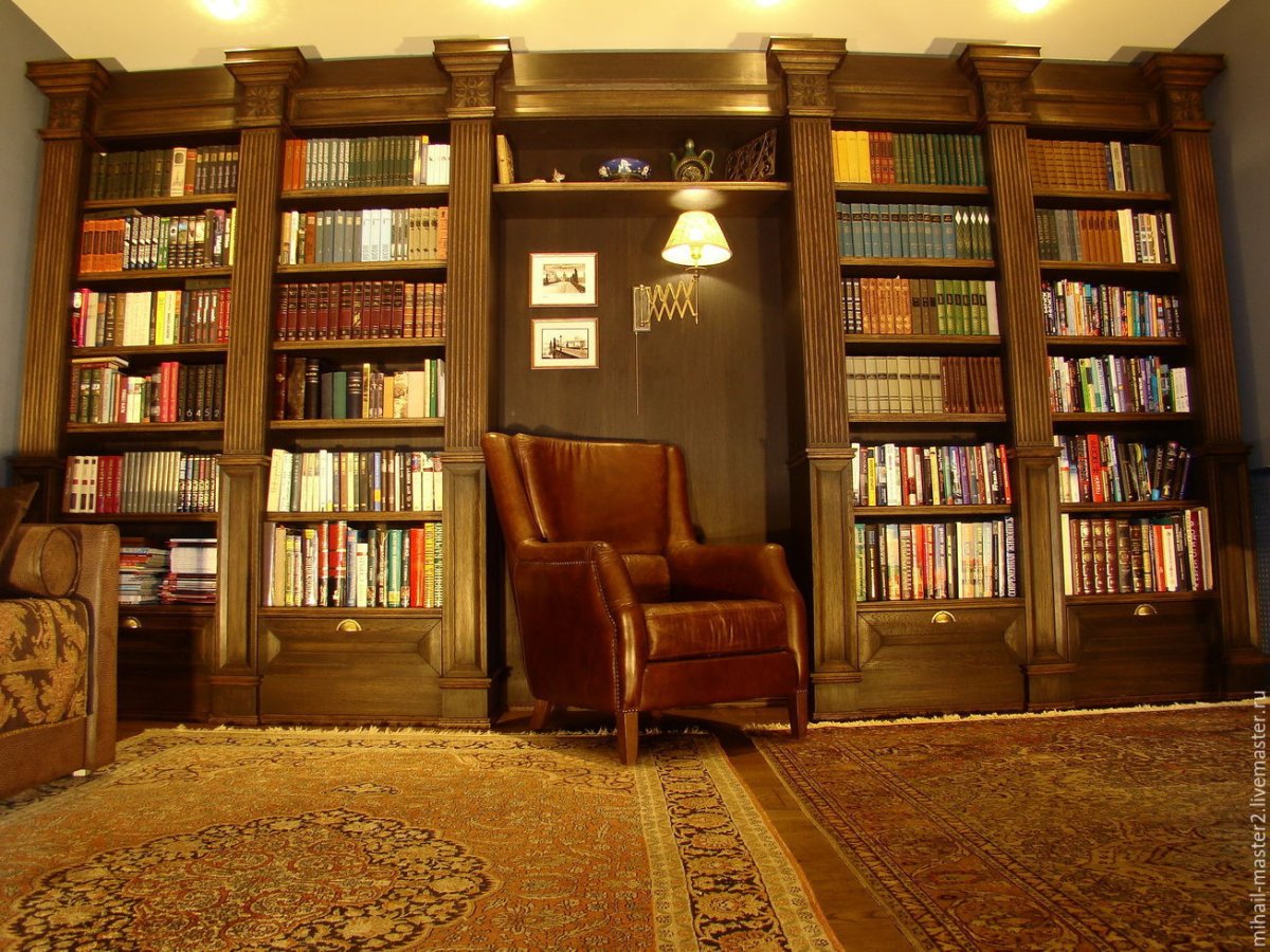 Книжный шкаф библиотека