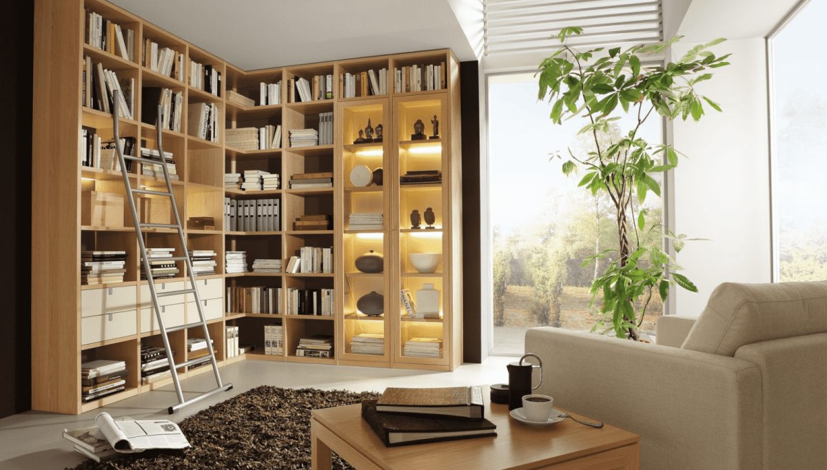 Книжные стеллажи в интерьере