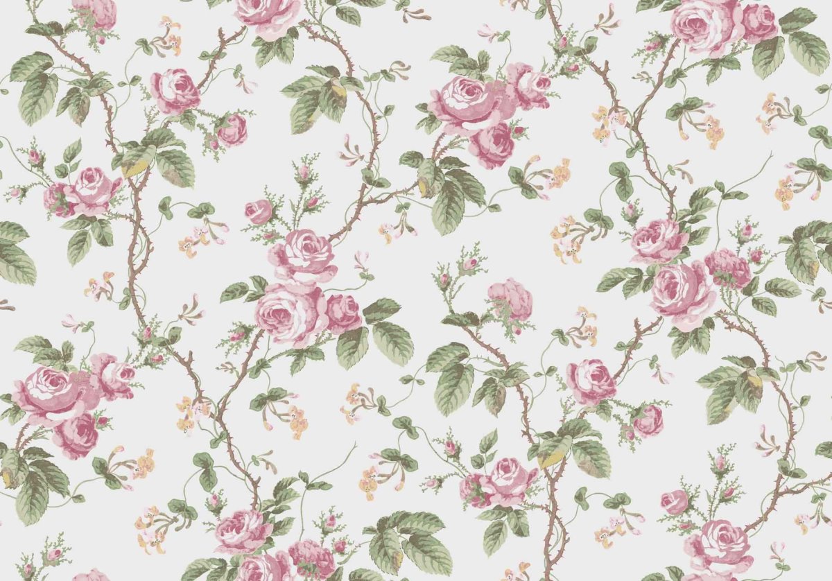 Borastapeter a Vintage book обои