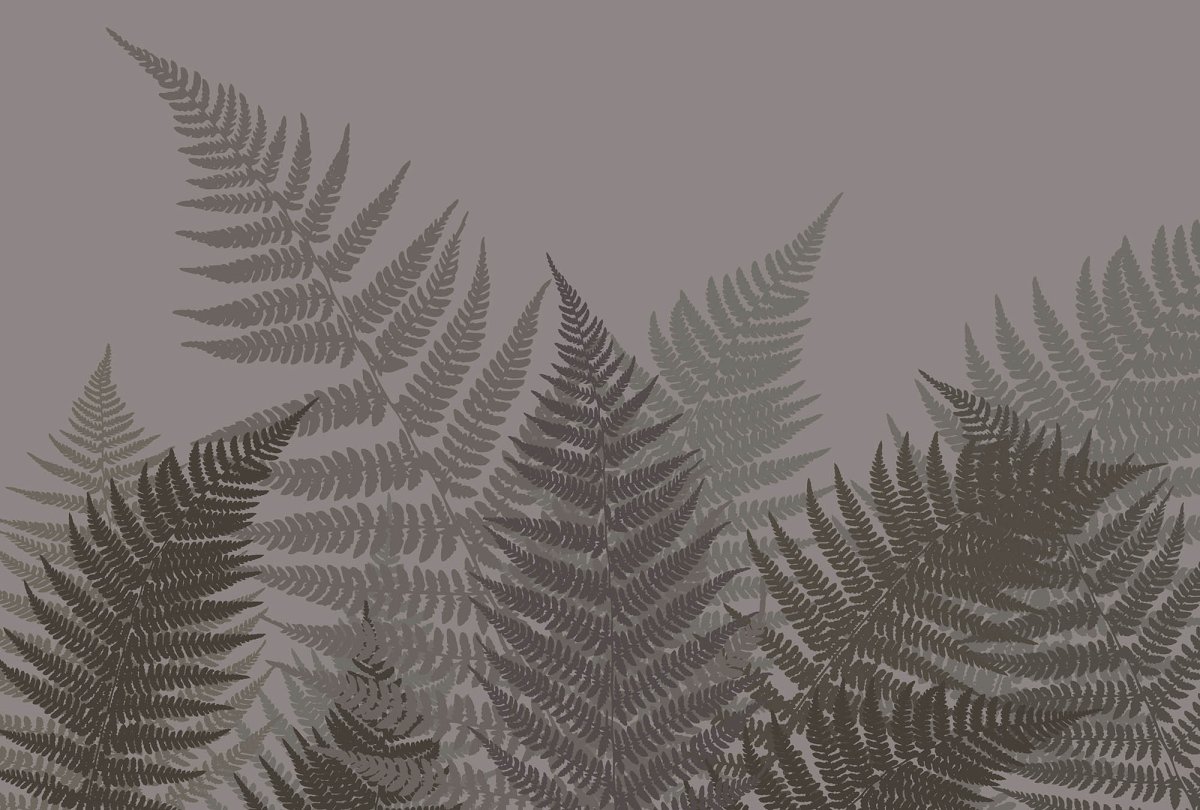Обои папоротник серые