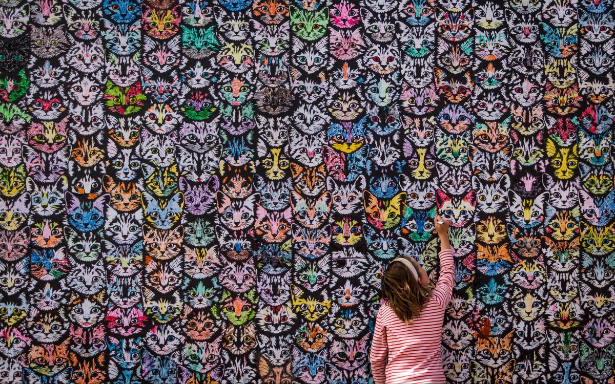 Обои с разными рисунками